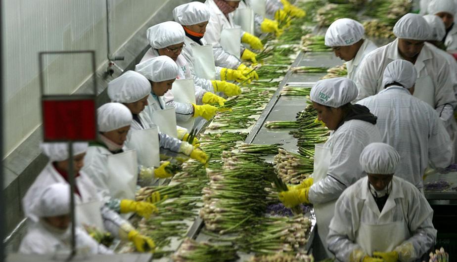 RemuneraciÃ³n mÃ­nima vital serÃ¡ de S/. 930.00 mensuales para trabajadores del sector privado